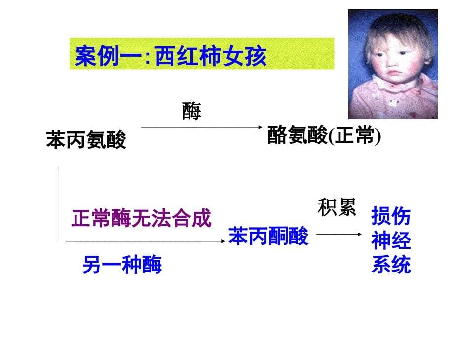 生物学②必修5.3《人类遗传病》PPT课件_第5页