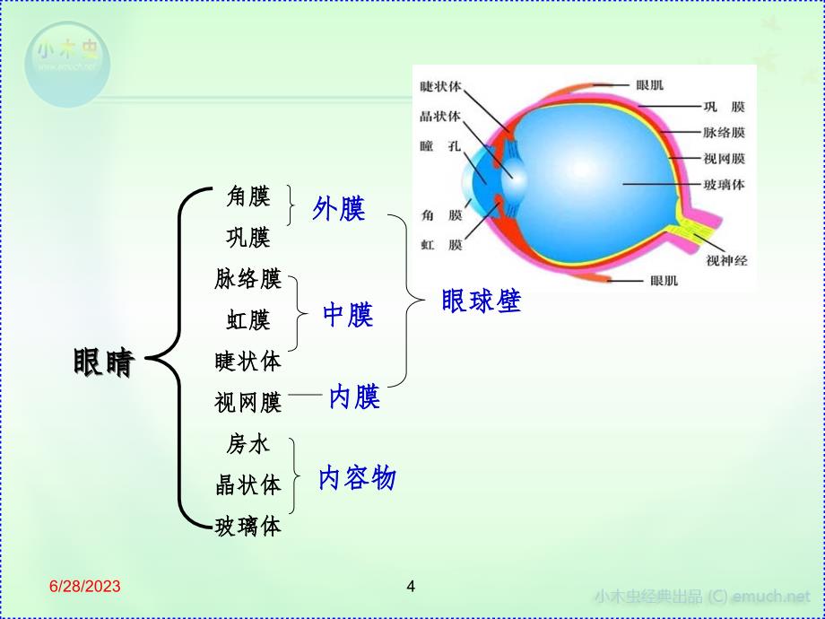 人体对周围世界的感知（课堂PPT）_第4页