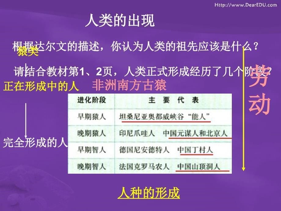 人类的形成 新课标 人教版.ppt_第5页