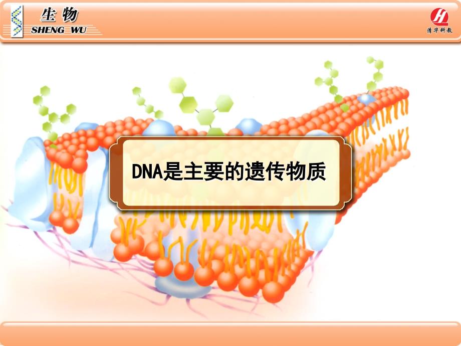 生物学②必修3.1《DNA是主要的遗传物质》PPT课件_第1页