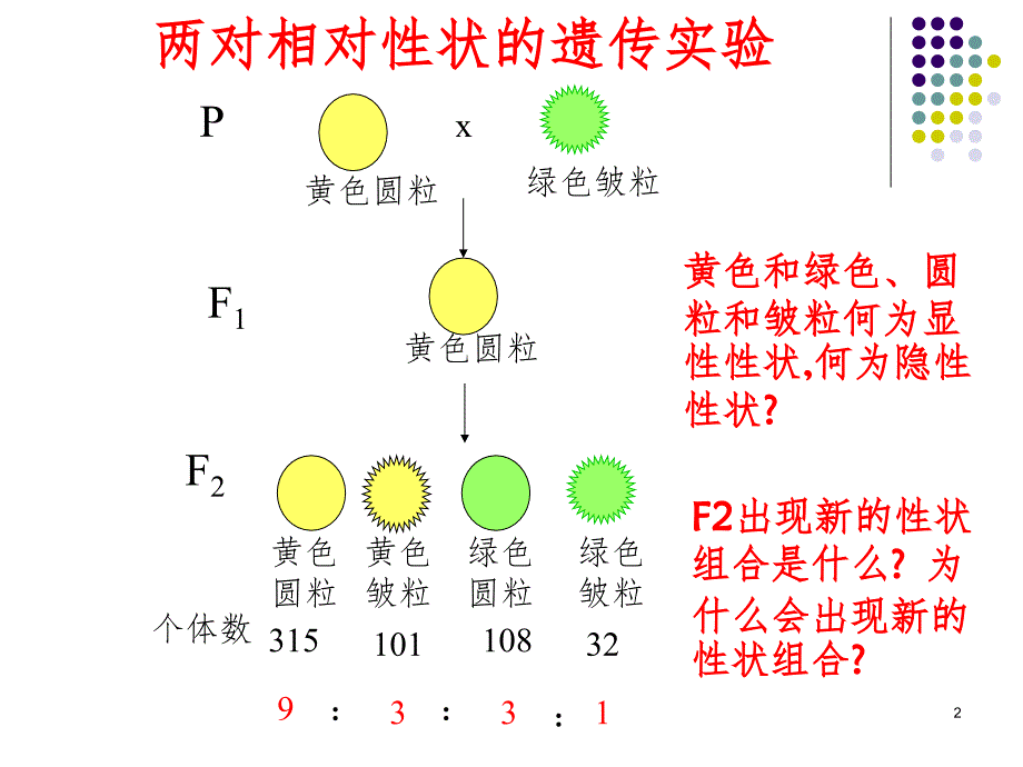 高三生物孟德尔遗传规律的再发现.（课堂PPT）_第2页