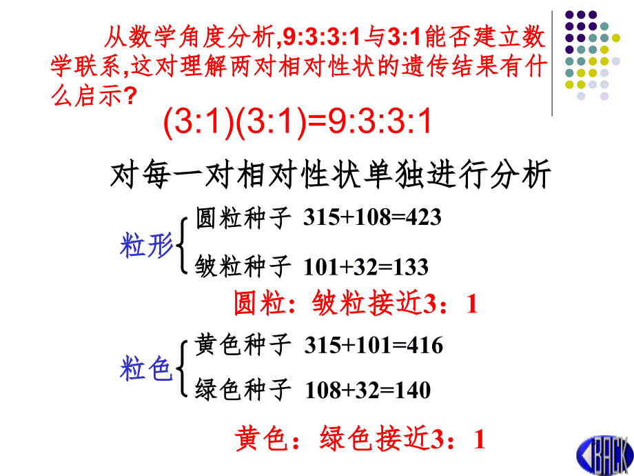 高三生物孟德尔遗传规律的再发现.（课堂PPT）_第3页