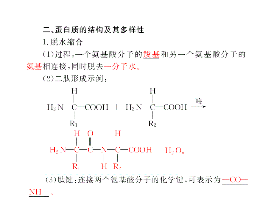 生命活动的主要承担者氨基酸及其种类蛋白质课件_第2页