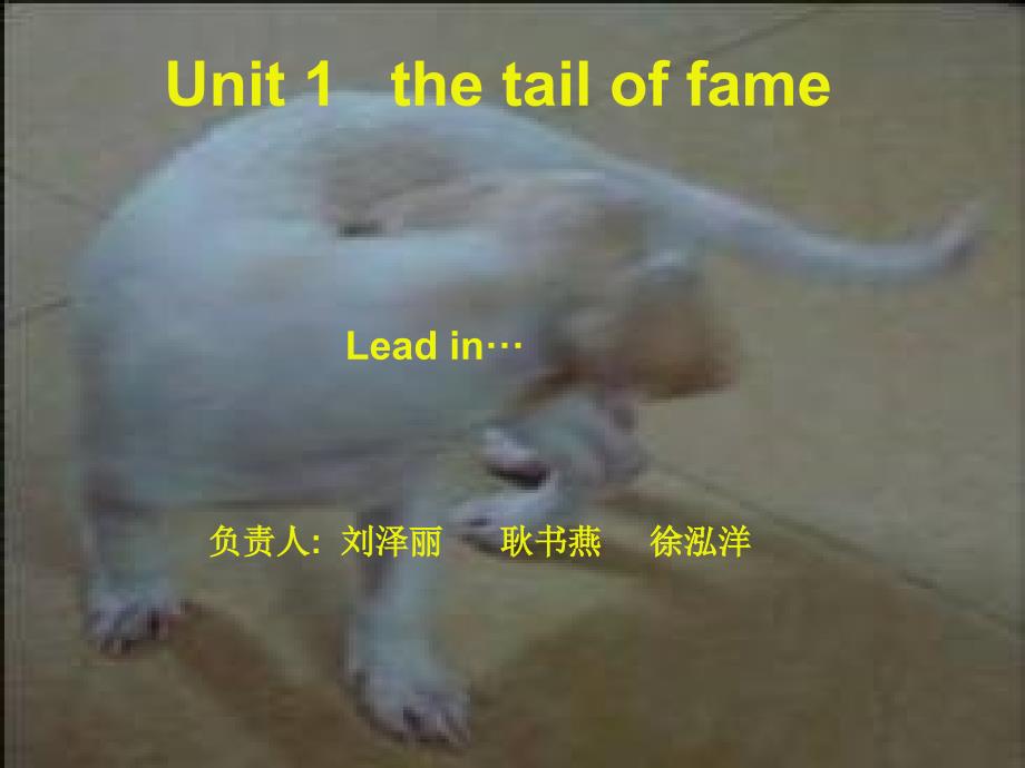 新视野大学英语读写教程第四册unit_1_The_tail_of_fame_lead_in部分.ppt_第1页