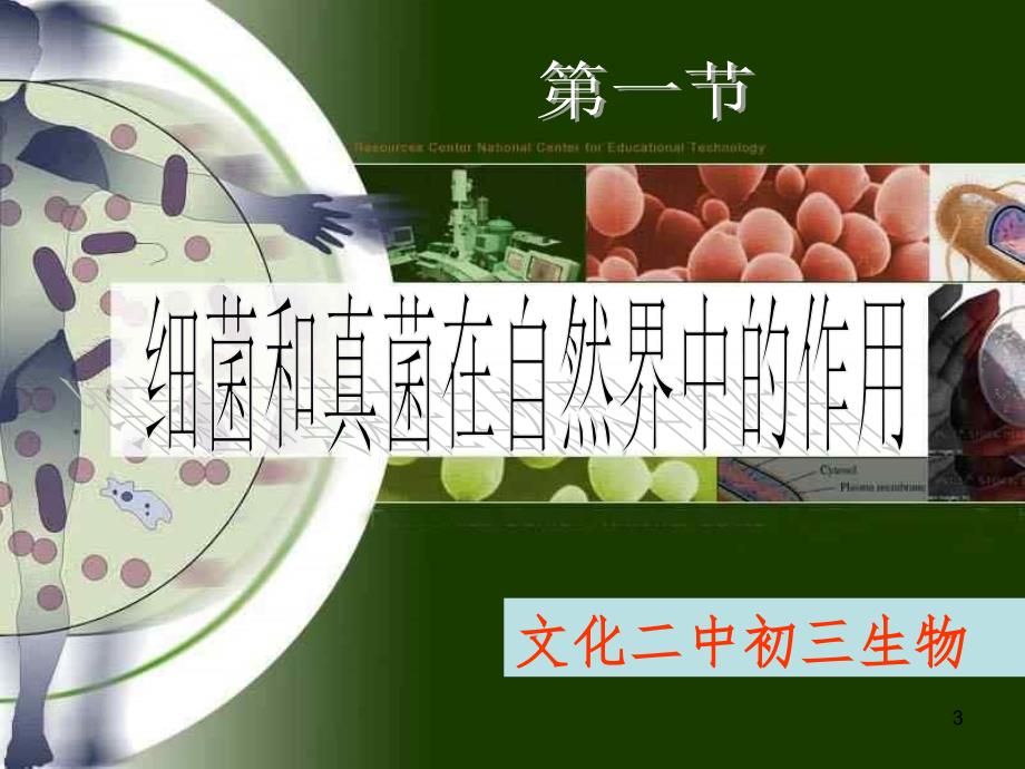 细菌和真菌在自然界中的作用（课堂PPT）_第3页