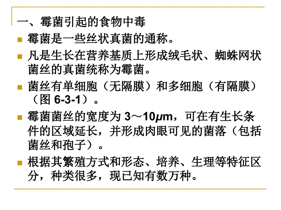 生物性污染与食品安全真菌与食品安全课件_第3页