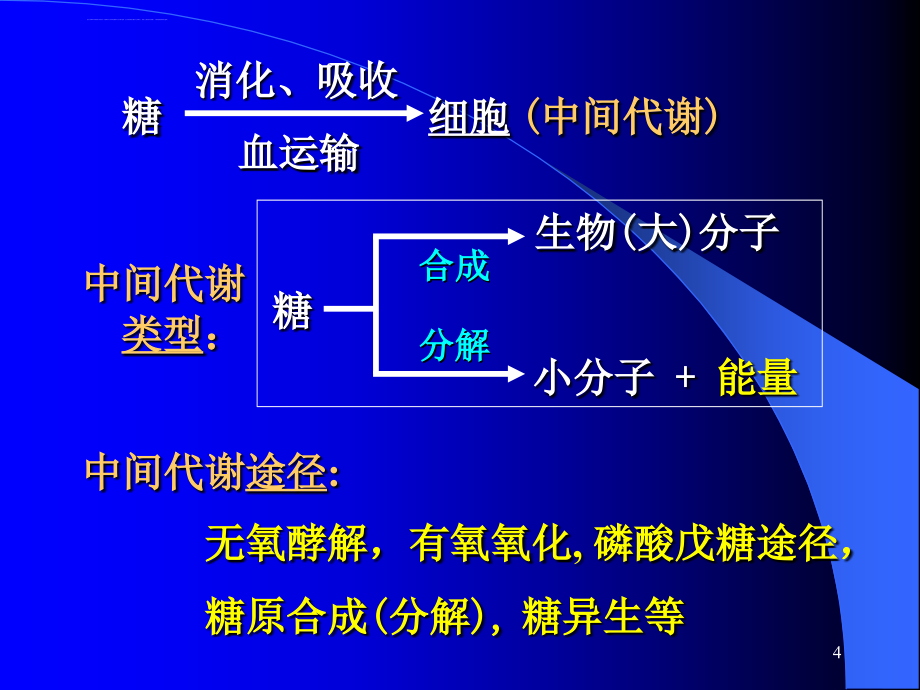 生物化学 糖代谢课件_第4页