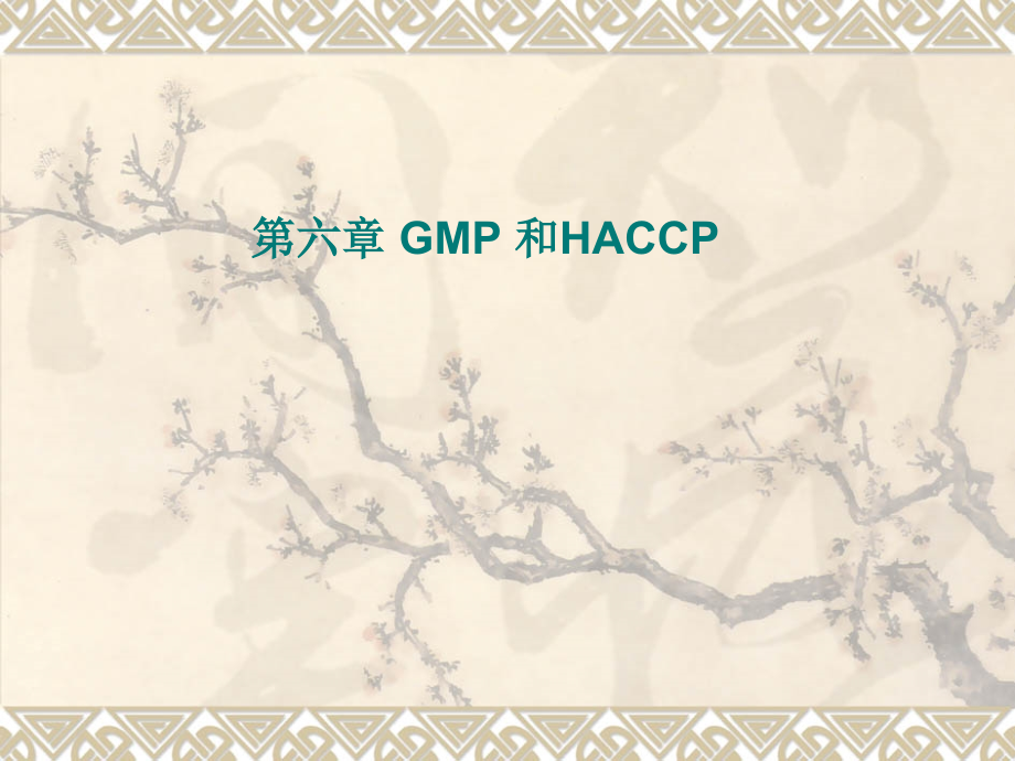 第六GMP和HACCP精编版_第1页