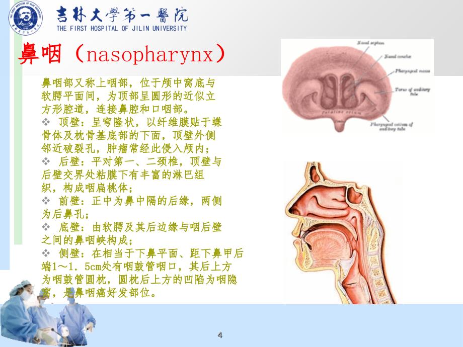 咽部解剖（课堂PPT）_第4页