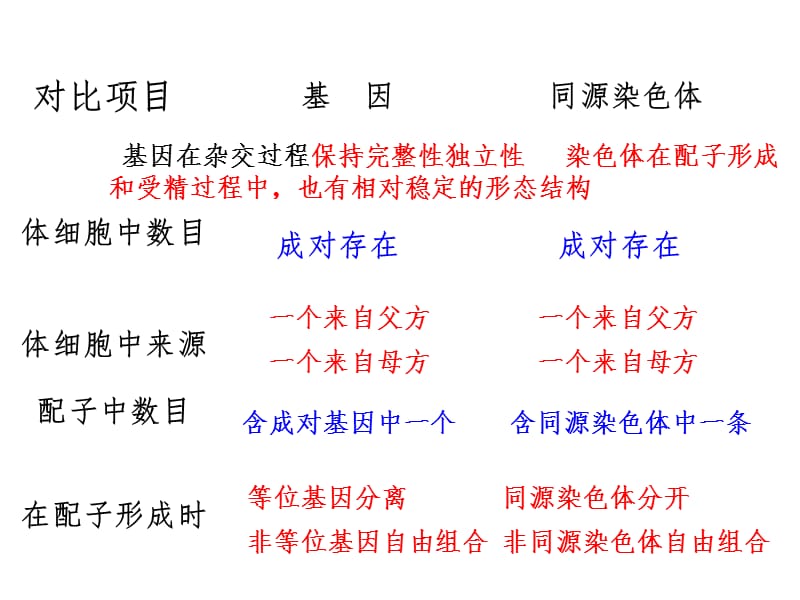 生物一轮复习基因在染色体上和伴性遗传改后（课堂PPT）_第3页