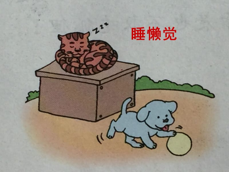 看图写话《可爱的小猫(熊)》课件_第4页