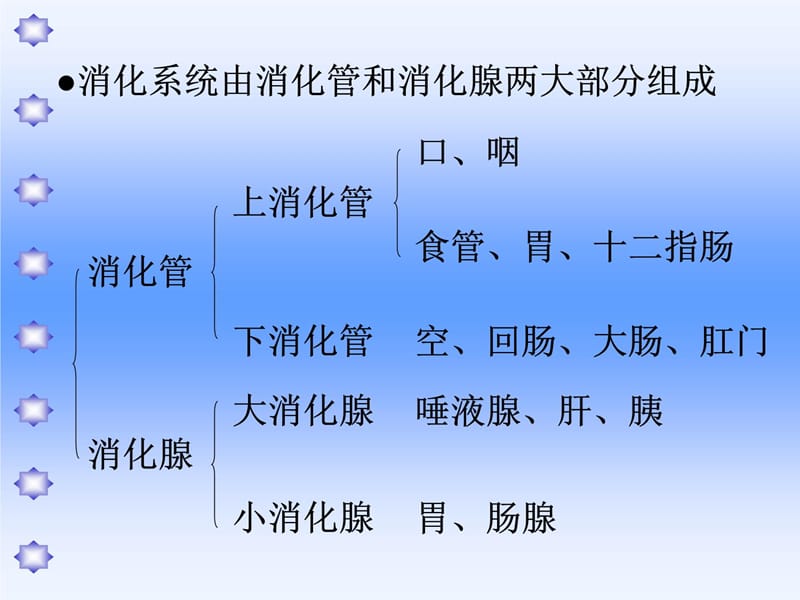 消化系统疾病、谷云龙教学幻灯片_第4页