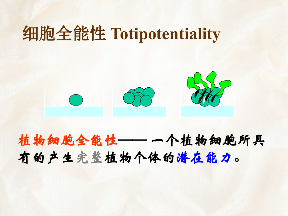 第2章 基本原理.ppt_第4页