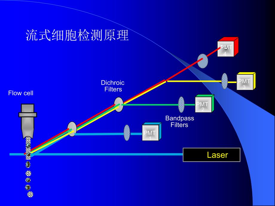 流式细胞术报告单解读PPT_第3页