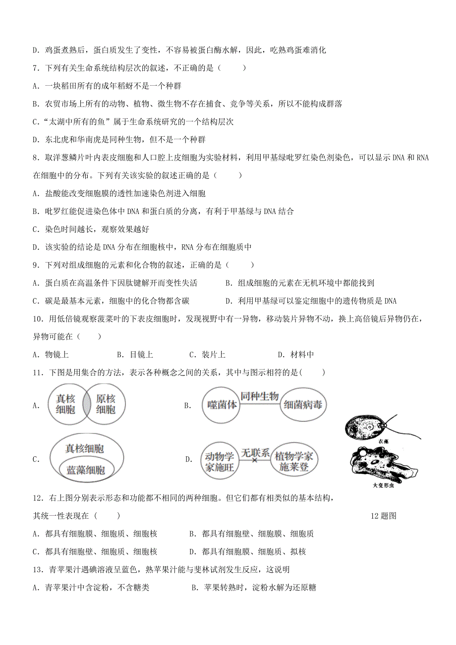 广东省深圳南山分校2019-2020学年高一生物上学期期中试题[带答案]_第2页