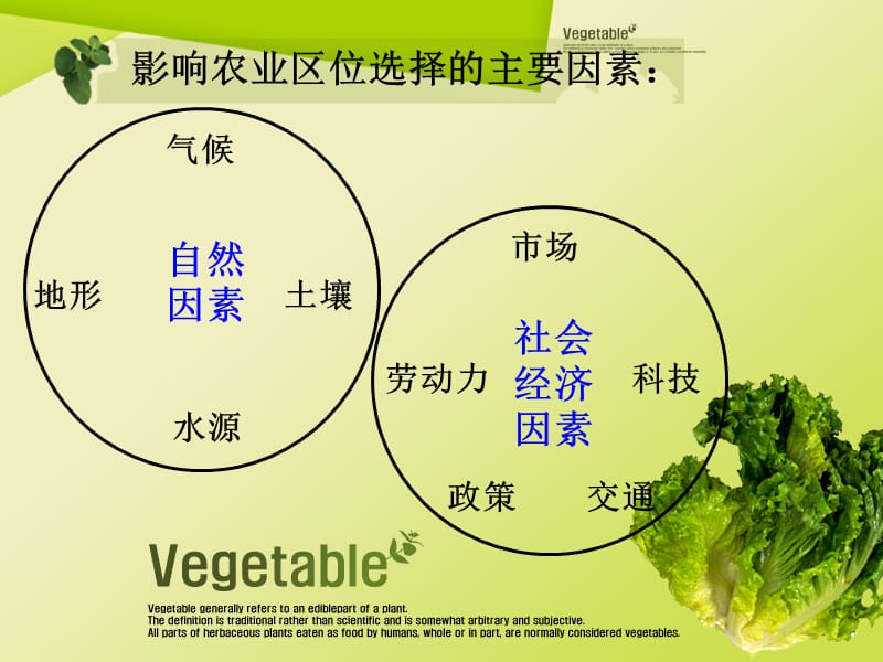 人教版高一地理必修2第三章第二节季风水田农业.ppt_第2页