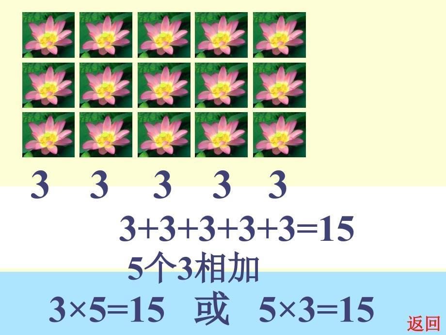 乘法的初步认识12_第5页