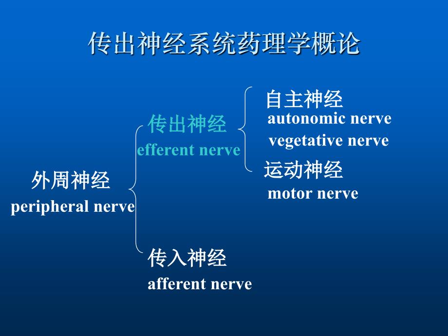 传出神经系统药理学概论PPT精品医学课件_第3页