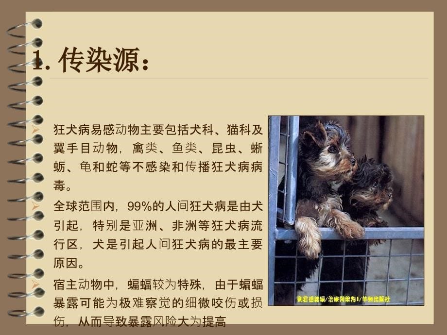 狂犬病暴露预防处置工作规范(20)PPT_第5页
