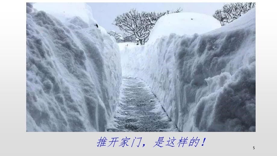 高三地理复习大湖效应五大湖雪带（课堂PPT）_第5页