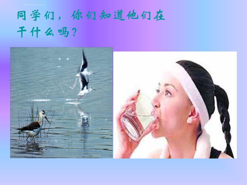 生命之源――水课件_第3页