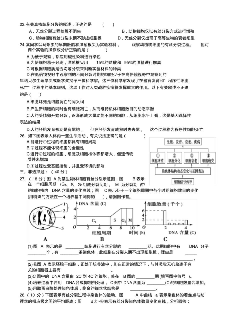 生物必修一第六章单元测试题及答案[汇编]_第3页