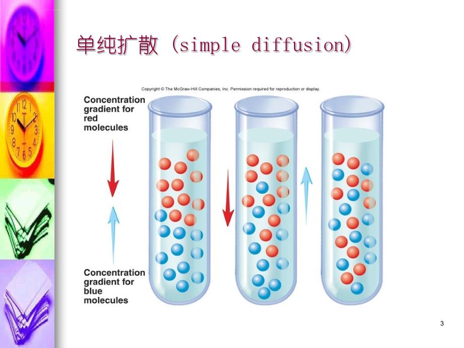 电生理学基础课件_第3页