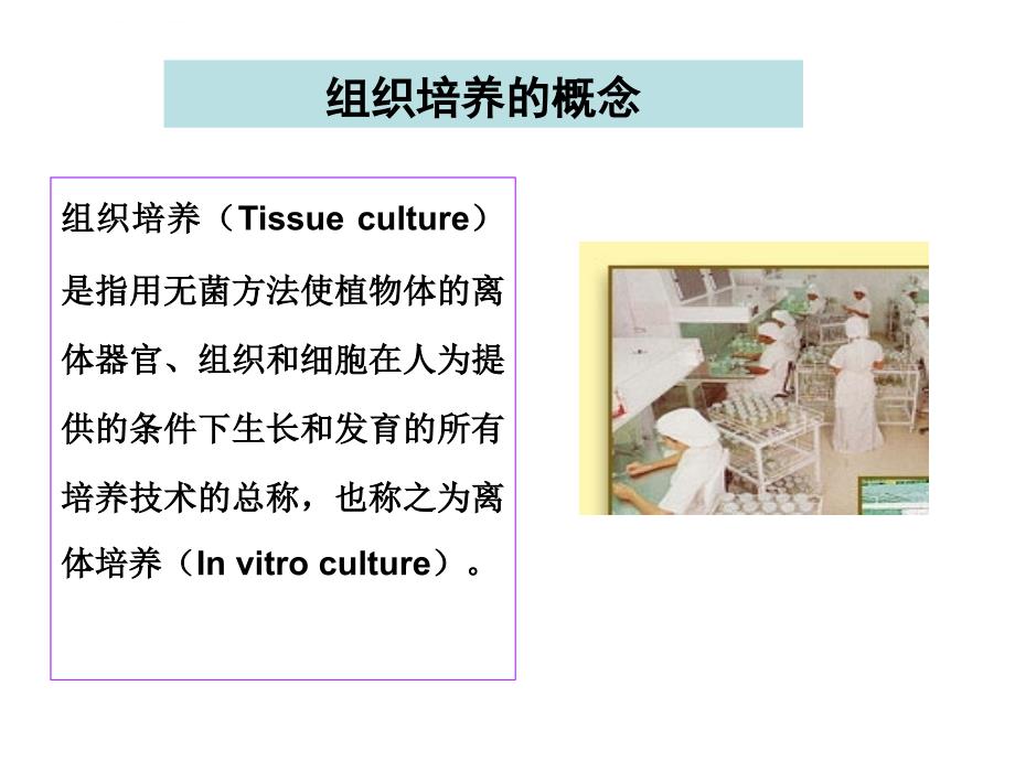 植物离体培养育种Tissue culture and breeding课件_第2页