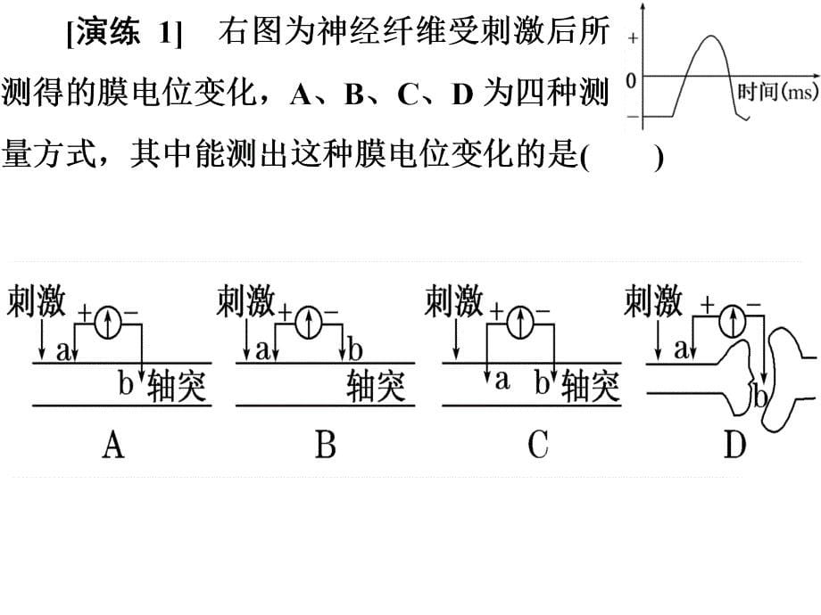 电流表指针偏转问膜电位的测量课件_第5页