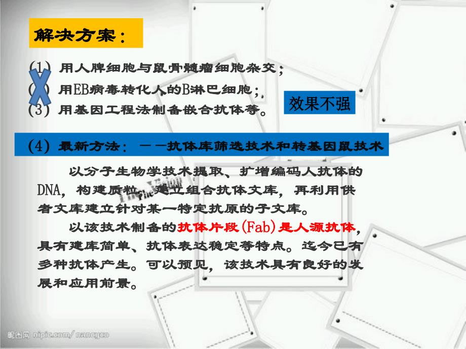 生物制药--人源化单克隆抗体课件_第4页