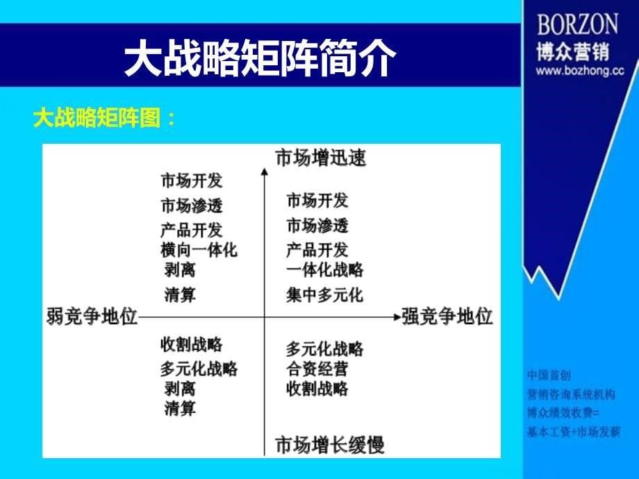 咨询师知识—大战略矩阵教学幻灯片_第5页