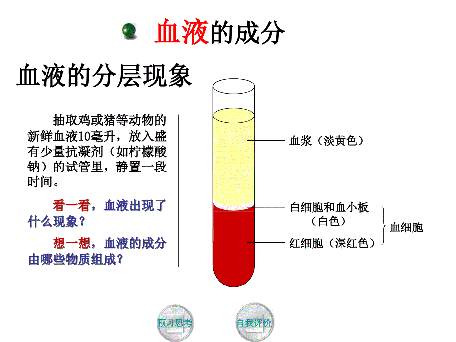 生物七年级下血液和血型课件_第4页