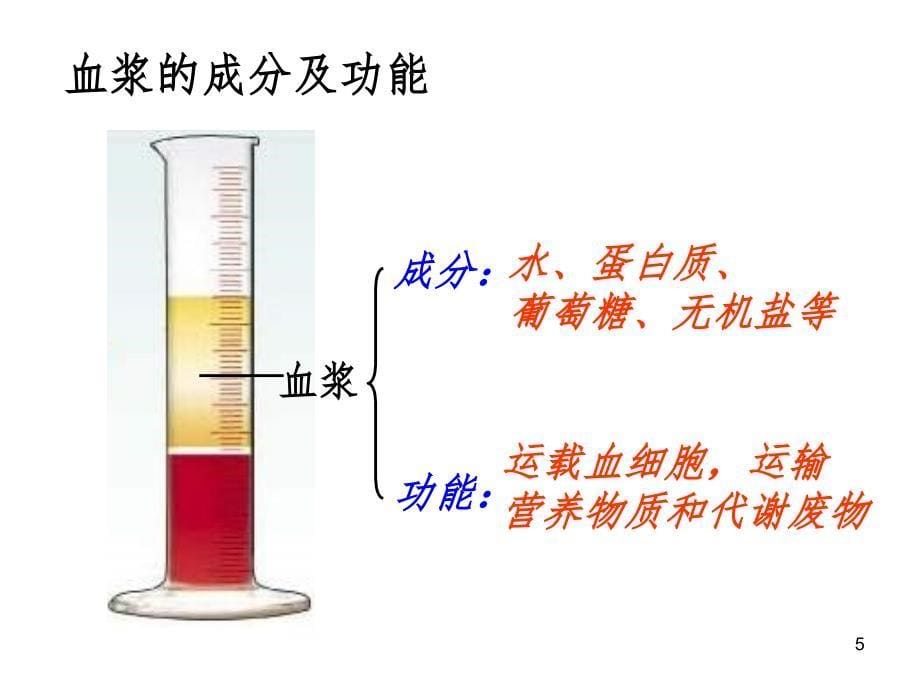 七年级生物人体内的物质运输（课堂PPT）_第5页