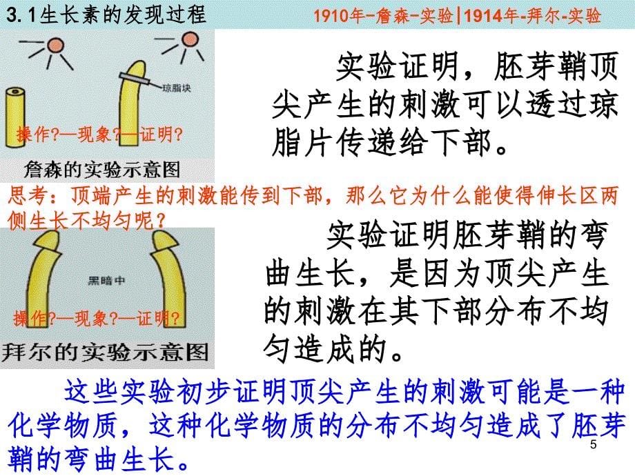 植物生长素的发现（课堂PPT）_第5页