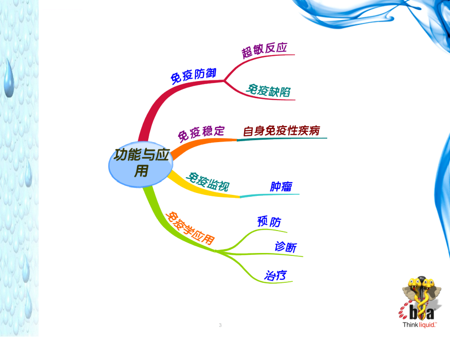 医学免疫学9.B淋巴细胞课件_第3页