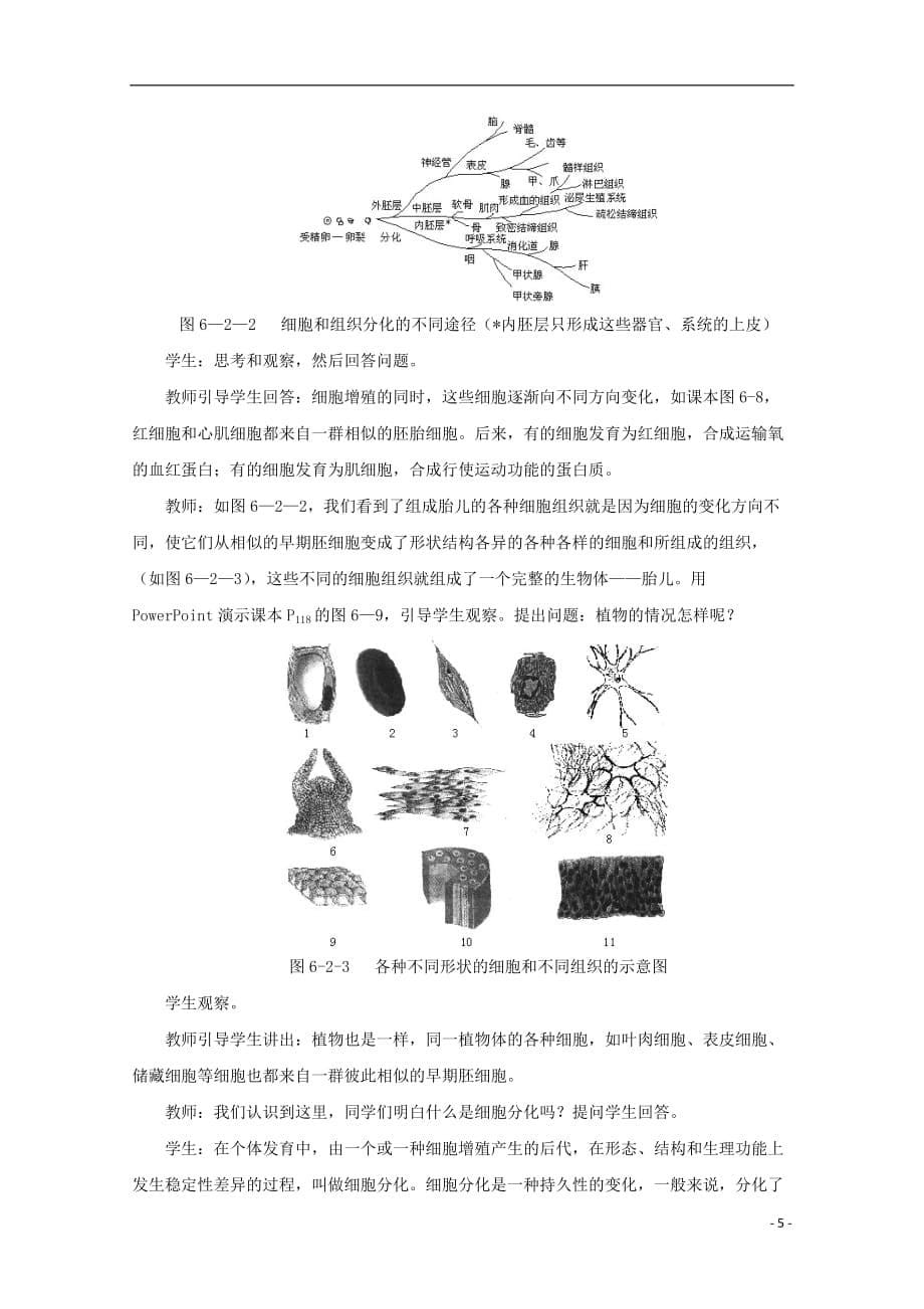 江苏省苏州市高一生物《细胞的分化》教案_第5页