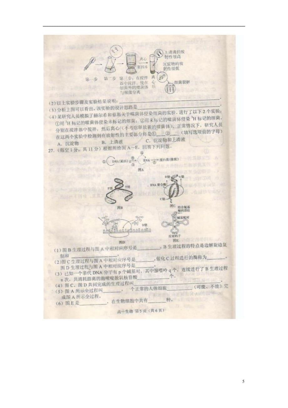 河南省商丘市高一生物下学期期末考试试题（扫描版）新人教版_第5页