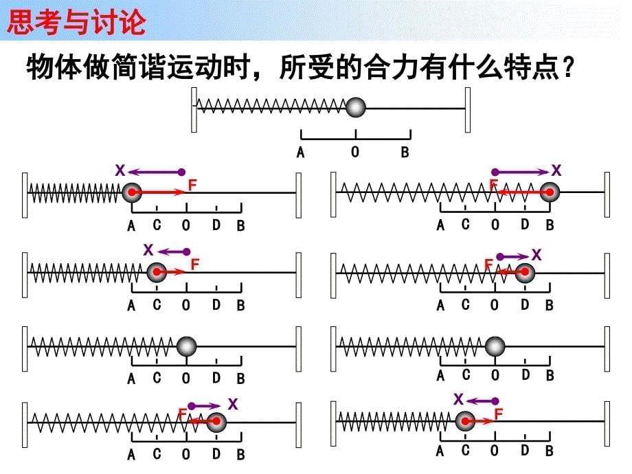 第三节简谐运动的回复力和能量﹎_第5页