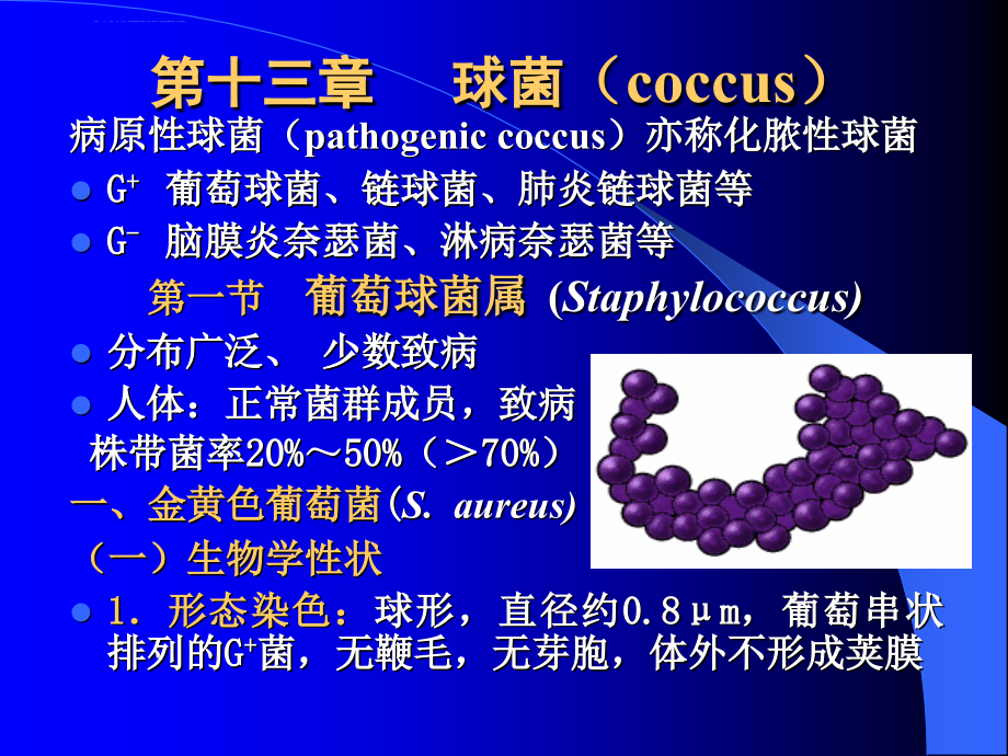 医学微生物学_董晓慧_八年制教材细菌各论课件_第3页