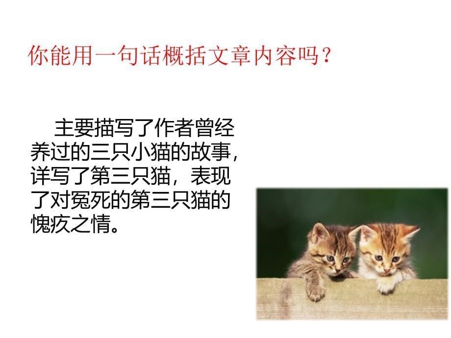 人教部编版七年级语文上册课件：16.猫 (共22张PPT)_第5页