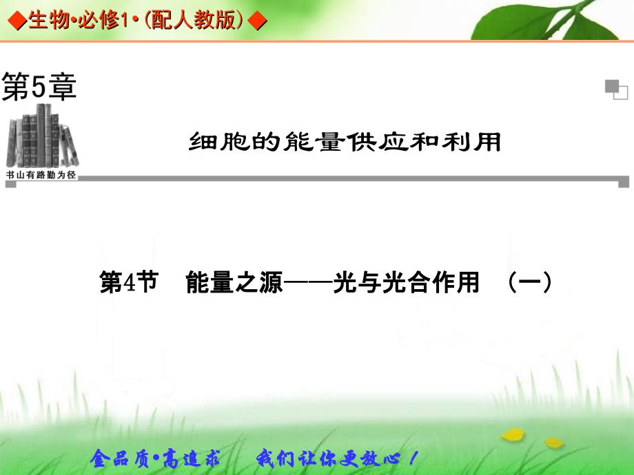 2013-2014学年高中生物人教版必修一同步辅导与检测课件：第5章 第4节 能量之源——光与光合作用 1-_第1页