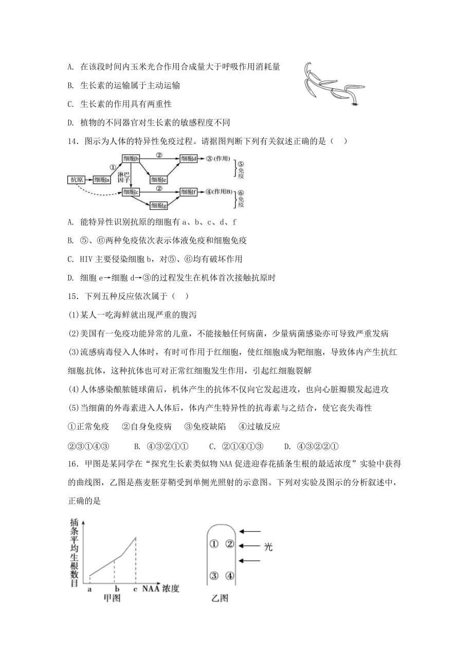 内蒙古北京八中乌兰察布分校高二生物上学期期中试题（无答案）_第4页