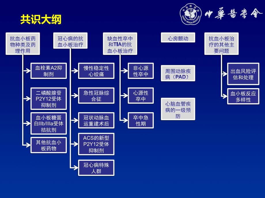 抗血小板治疗中国专家共识-_第3页