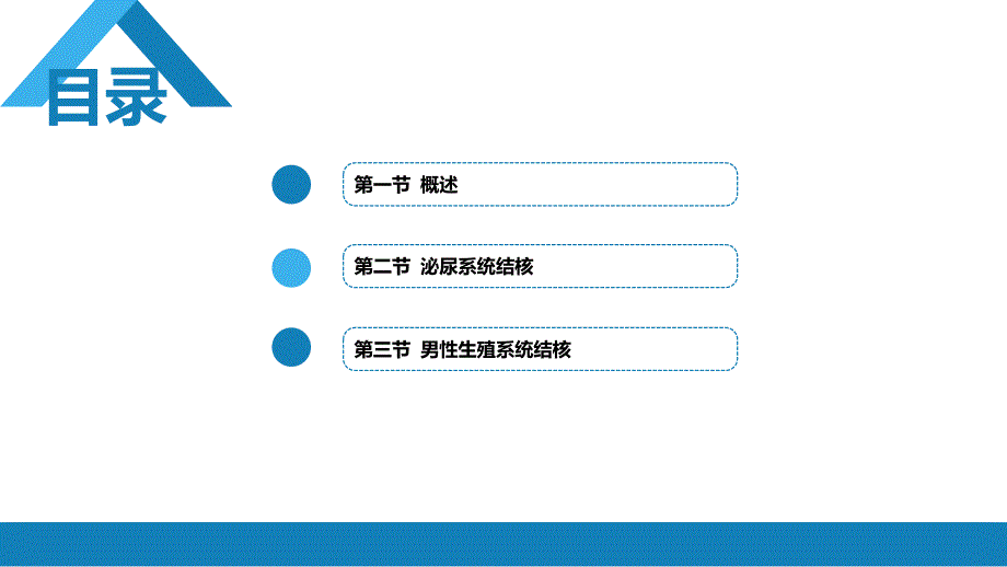 外科学-第五十章 泌尿、男生殖系统结核_第2页