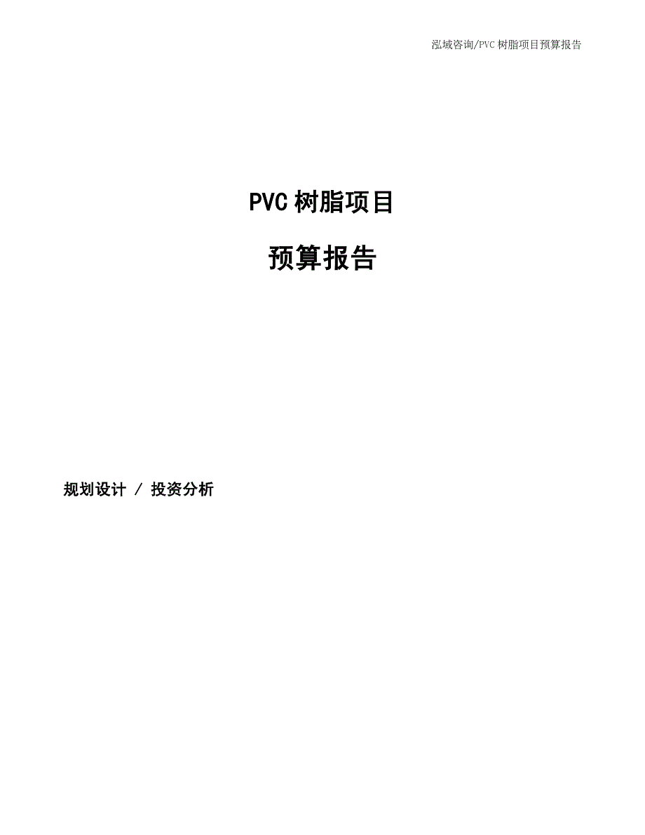 PVC树脂项目预算报告_第1页