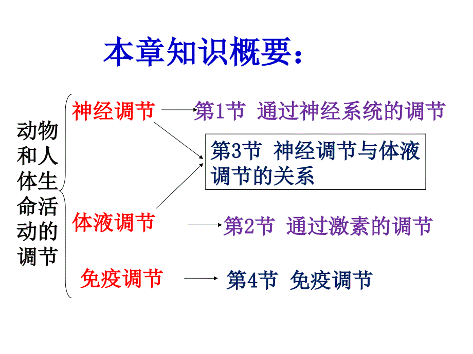 1218编号通过神经系统的调节(上课很实用)ppt_第2页