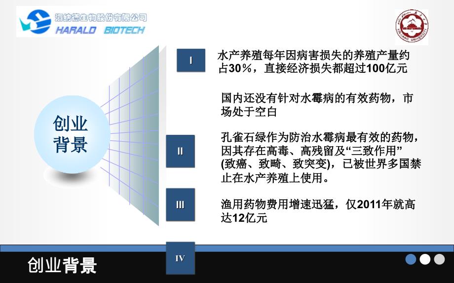 挑战杯创业大赛模板PPT-_第4页