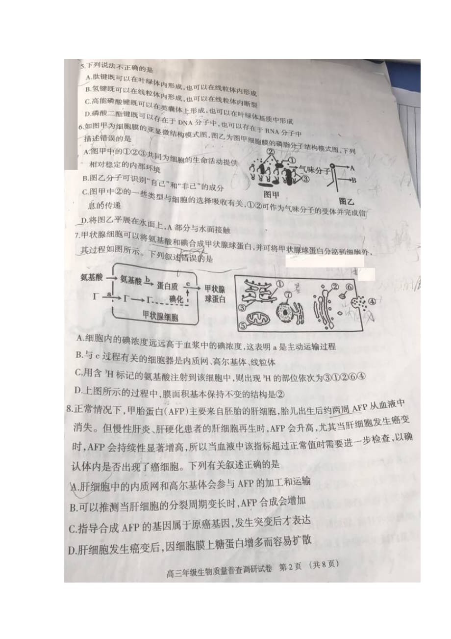 内蒙古呼和浩特市高三生物11月质量普查考试试题（扫描版无答案）_第2页