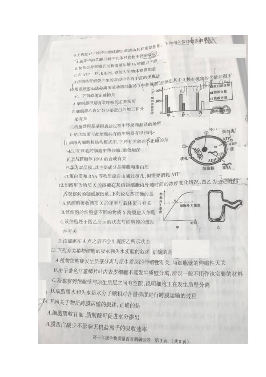 内蒙古呼和浩特市高三生物11月质量普查考试试题（扫描版无答案）_第3页