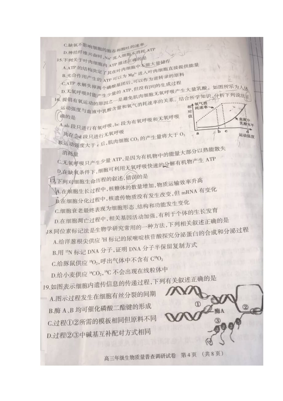 内蒙古呼和浩特市高三生物11月质量普查考试试题（扫描版无答案）_第4页